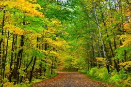 scenic drives and places in Wisconsin