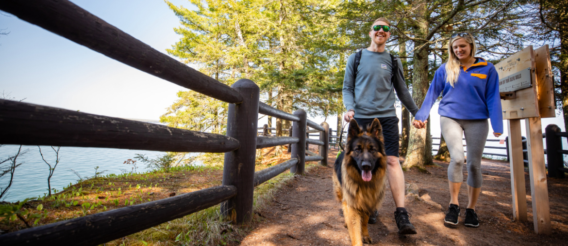 5 Pet-Friendly Parks to Explore with Your Dog