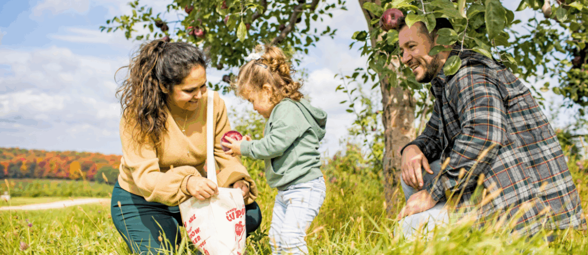 Your Guide to Apple Orchards of Wisconsin