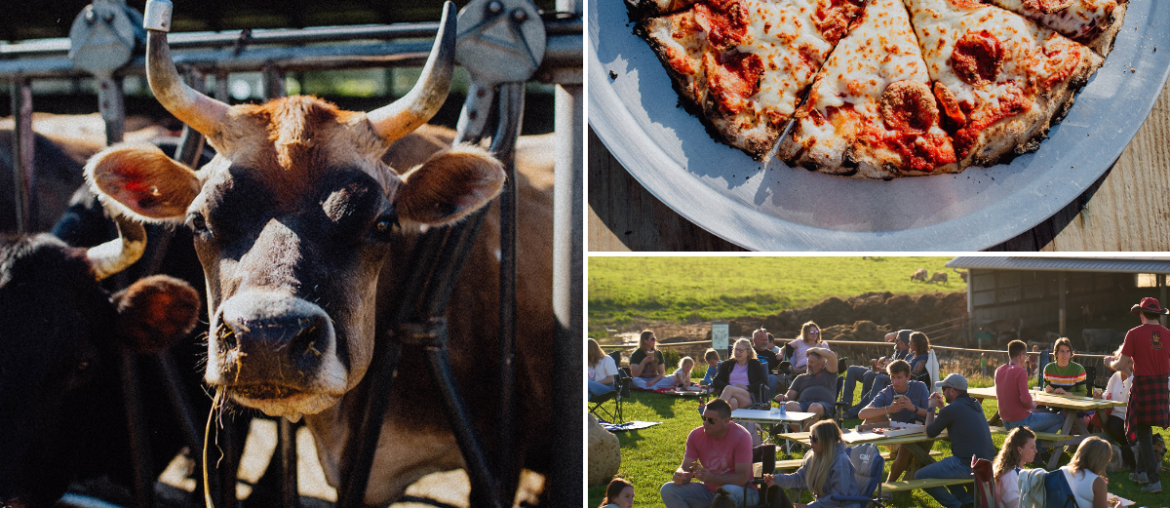 Grassway Organics Celebrates 10 Years