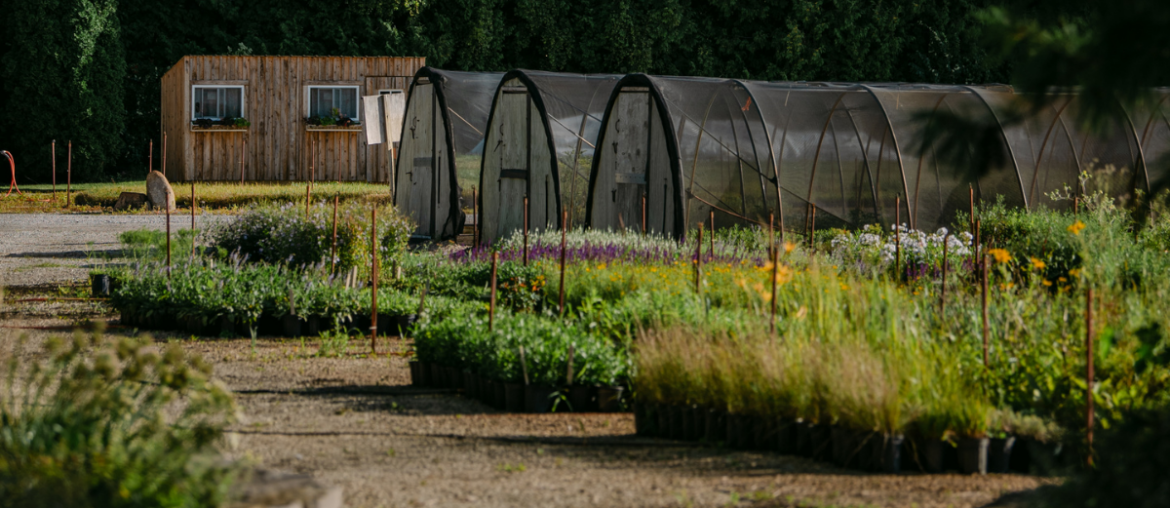 Rooted: 4 Garden Centers and Shops Worth the Drive